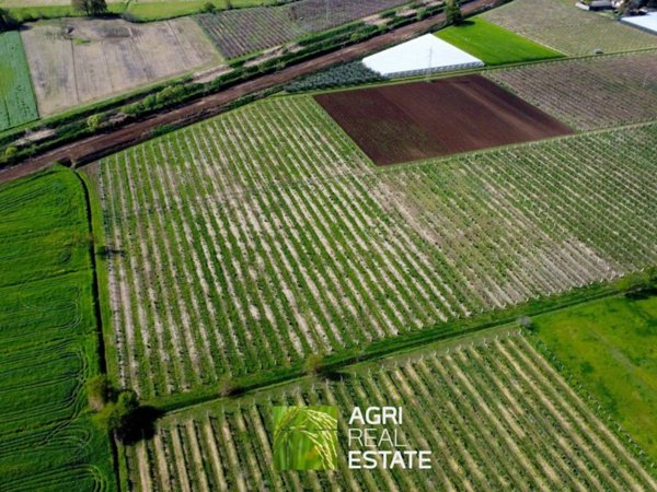 terreno in vendita a Cisterna di Latina