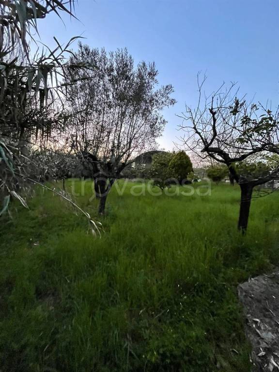 locale commerciale in vendita a Cisterna di Latina