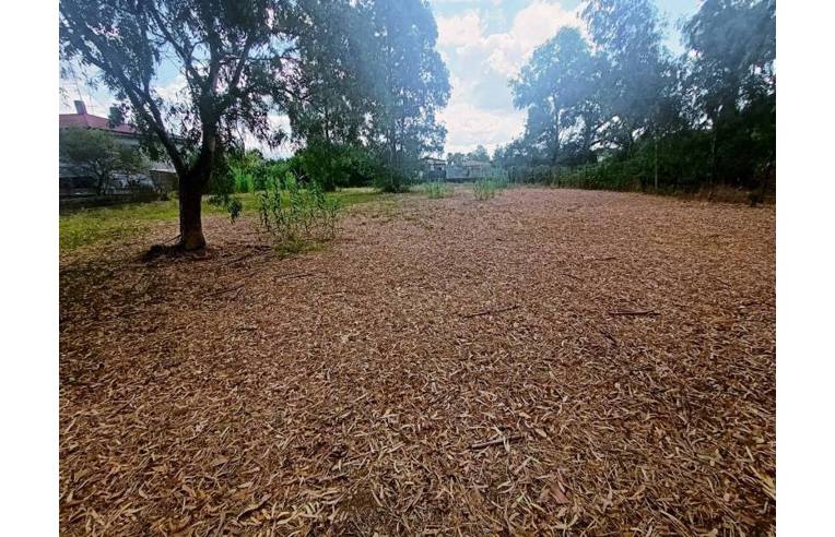 terreno in vendita a Cisterna di Latina in zona Sant'Ilario