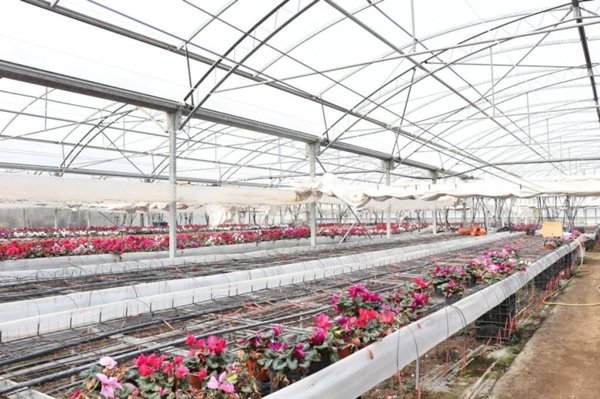 terreno agricolo in vendita a Cori