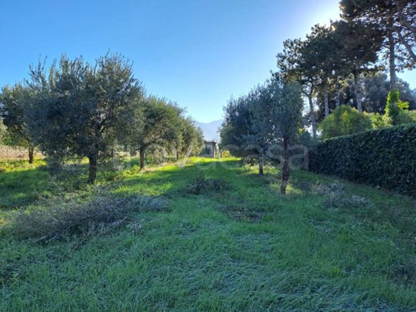 terreno agricolo in vendita a Cori in zona Giulianello