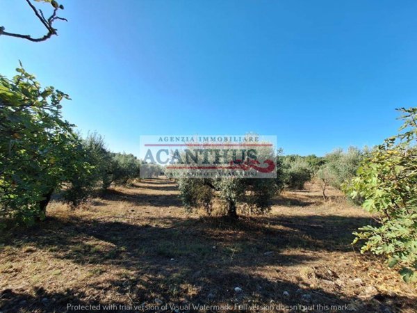 appartamento in vendita a Cori