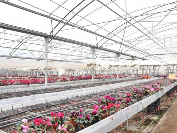 terreno agricolo in vendita a Cori
