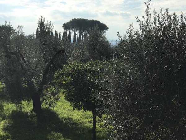 terreno agricolo in vendita a Cori