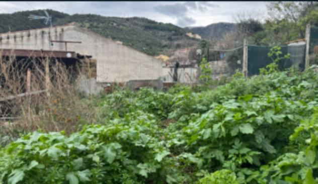 terreno agricolo in vendita a Cori