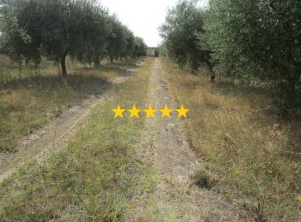 appartamento in vendita a Cori
