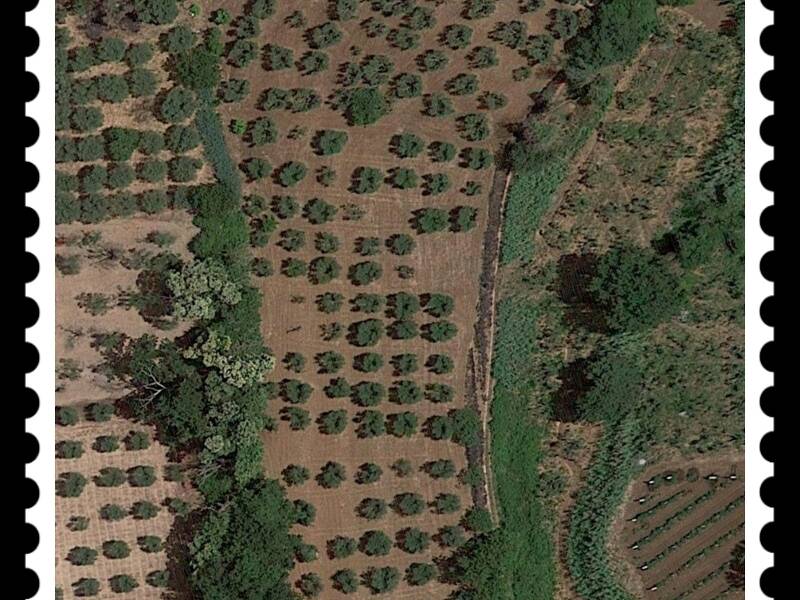 azienda agricola in vendita a Cori