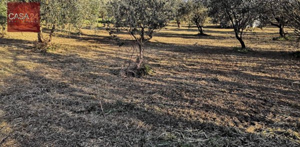 terreno agricolo in vendita a Cori