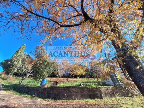 terreno agricolo in vendita a Cori