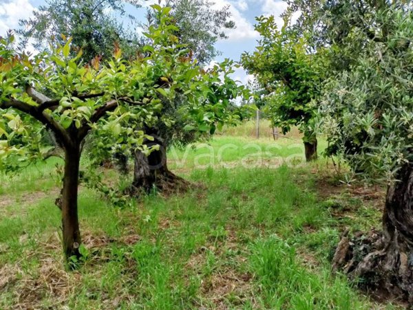 terreno agricolo in vendita a Cori