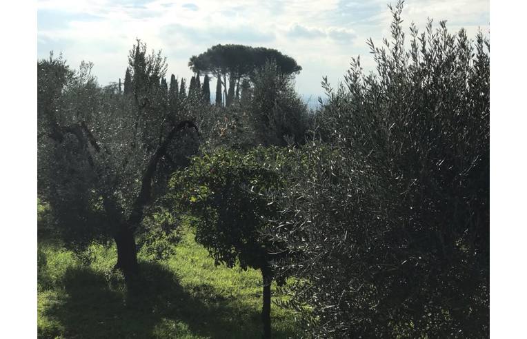 terreno agricolo in vendita a Cori
