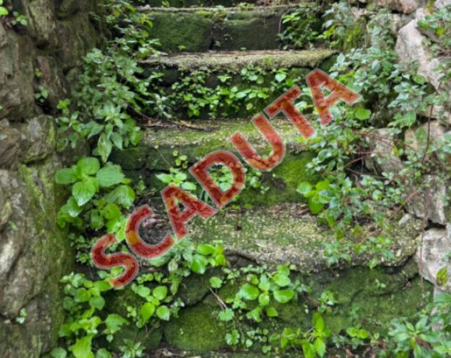 terreno agricolo in vendita a Cori