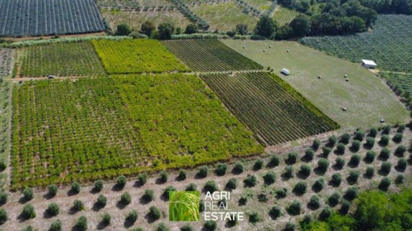 terreno agricolo in vendita a Cori