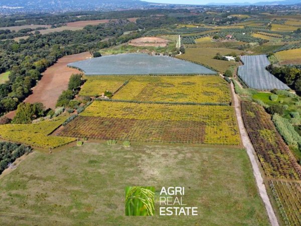 terreno agricolo in vendita a Cori