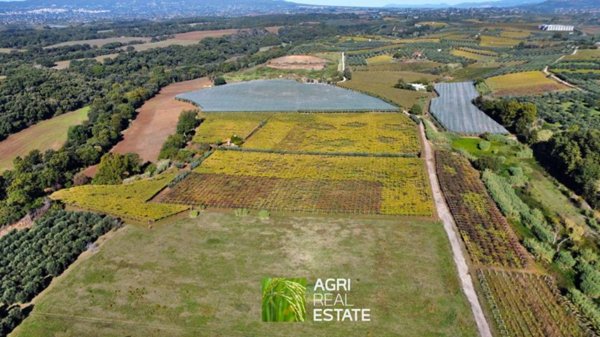 terreno agricolo in vendita a Cori