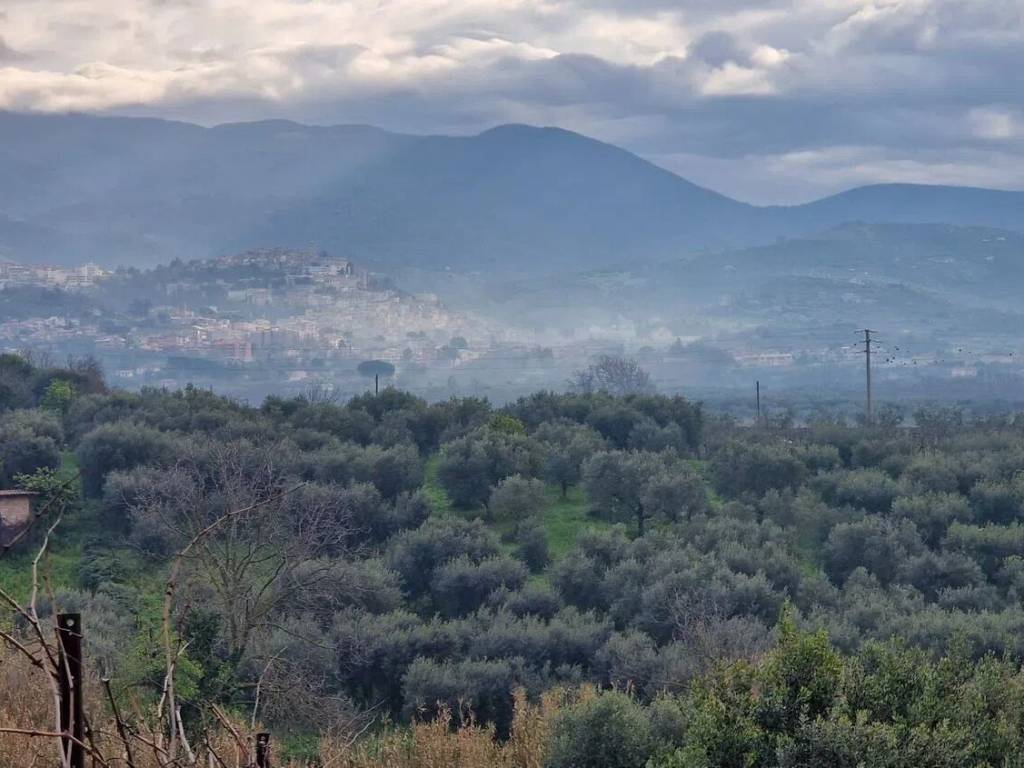 terreno agricolo in vendita a Cori