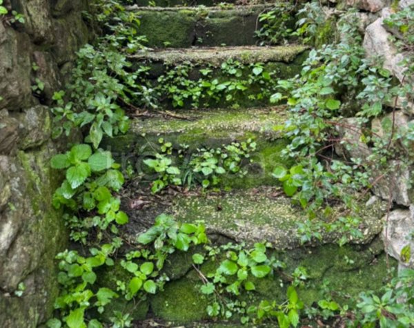 terreno agricolo in vendita a Cori