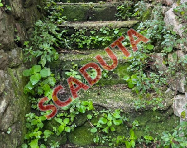 terreno agricolo in vendita a Cori