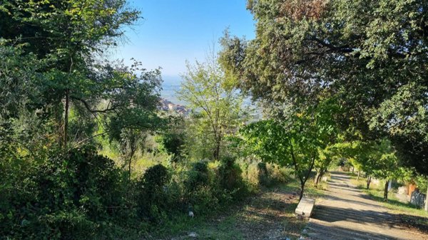 terreno agricolo in vendita a Cori