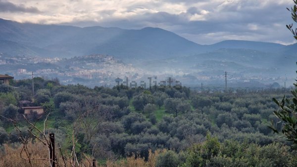 terreno agricolo in vendita a Cori