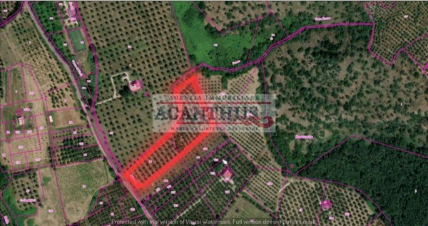 terreno agricolo in vendita a Cori