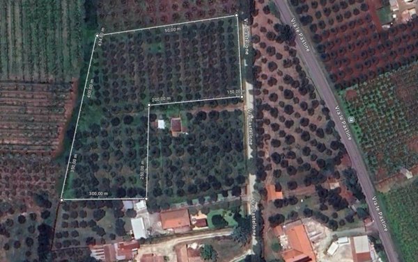 terreno agricolo in vendita a Cori