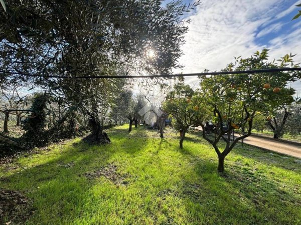 casa indipendente in vendita a Cori in zona Giulianello