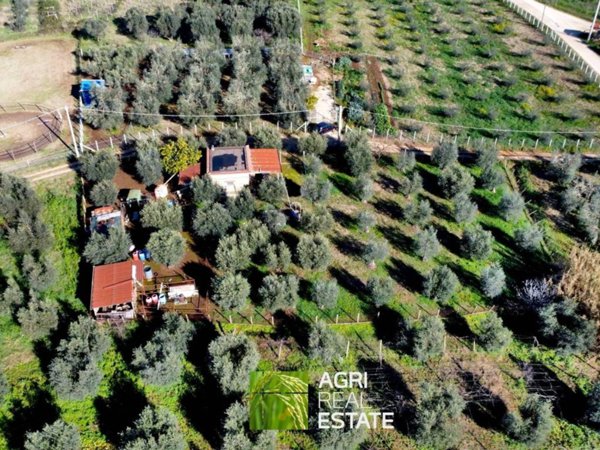 terreno agricolo in vendita a Cori