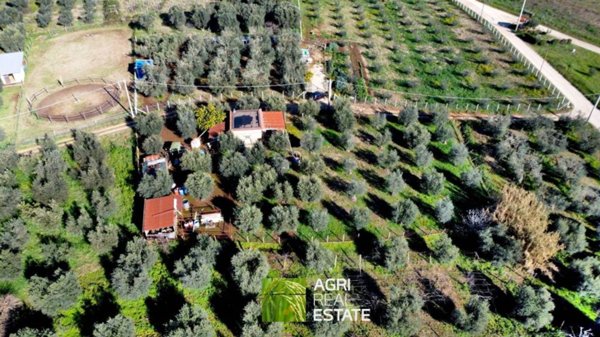 terreno agricolo in vendita a Cori