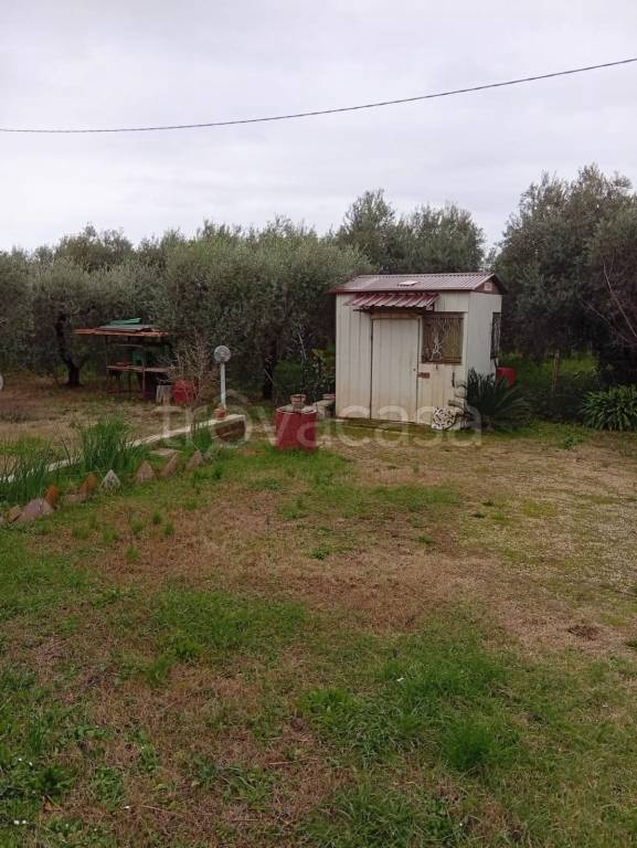 terreno agricolo in vendita a Cori