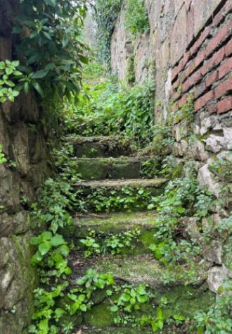terreno agricolo in vendita a Cori