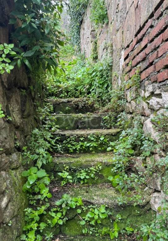 terreno agricolo in vendita a Cori