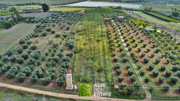 terreno agricolo in vendita a Cori