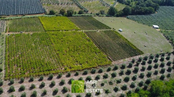 terreno agricolo in vendita a Cori