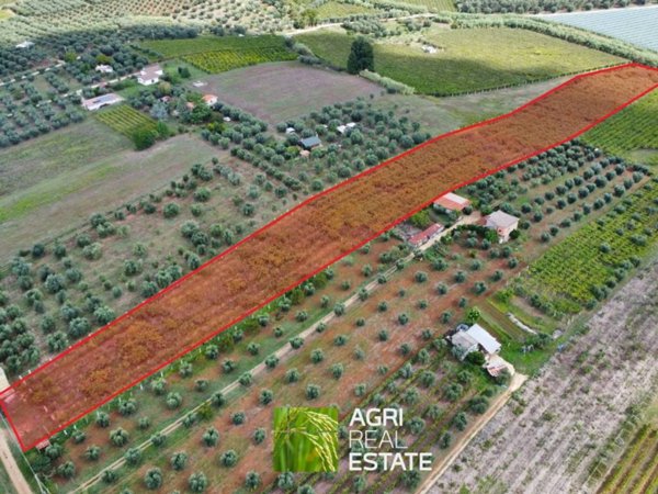 terreno agricolo in vendita a Cori