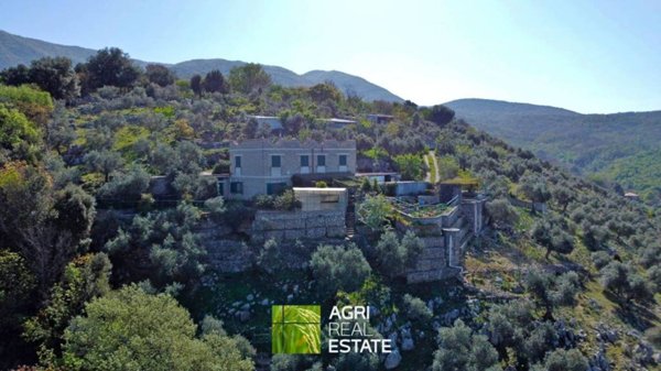 azienda agricola in vendita a Cori