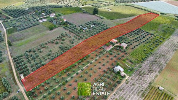 terreno agricolo in vendita a Cori