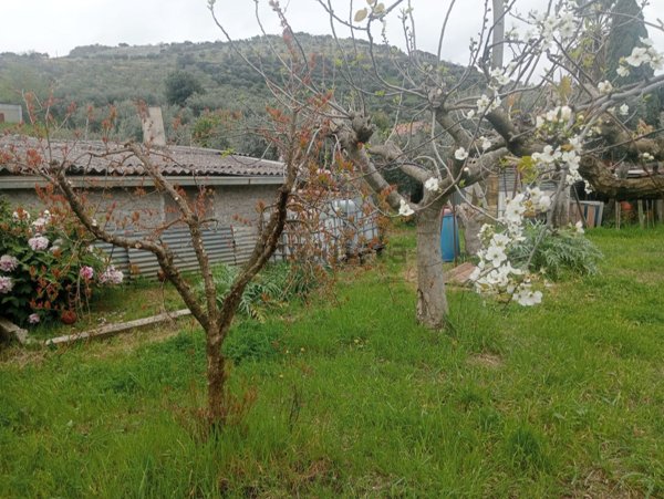 terreno in vendita a Cori in zona Giulianello