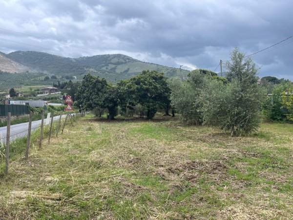 terreno agricolo in vendita a Cori
