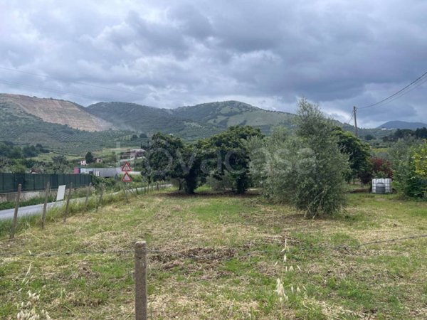 terreno agricolo in vendita a Cori