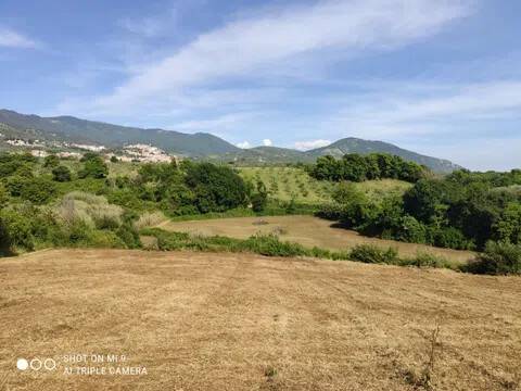 terreno in vendita a Cori in zona Giulianello