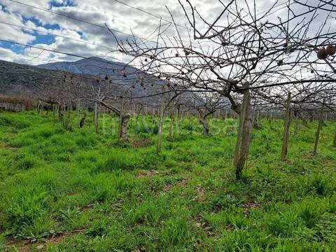 terreno in vendita a Cori