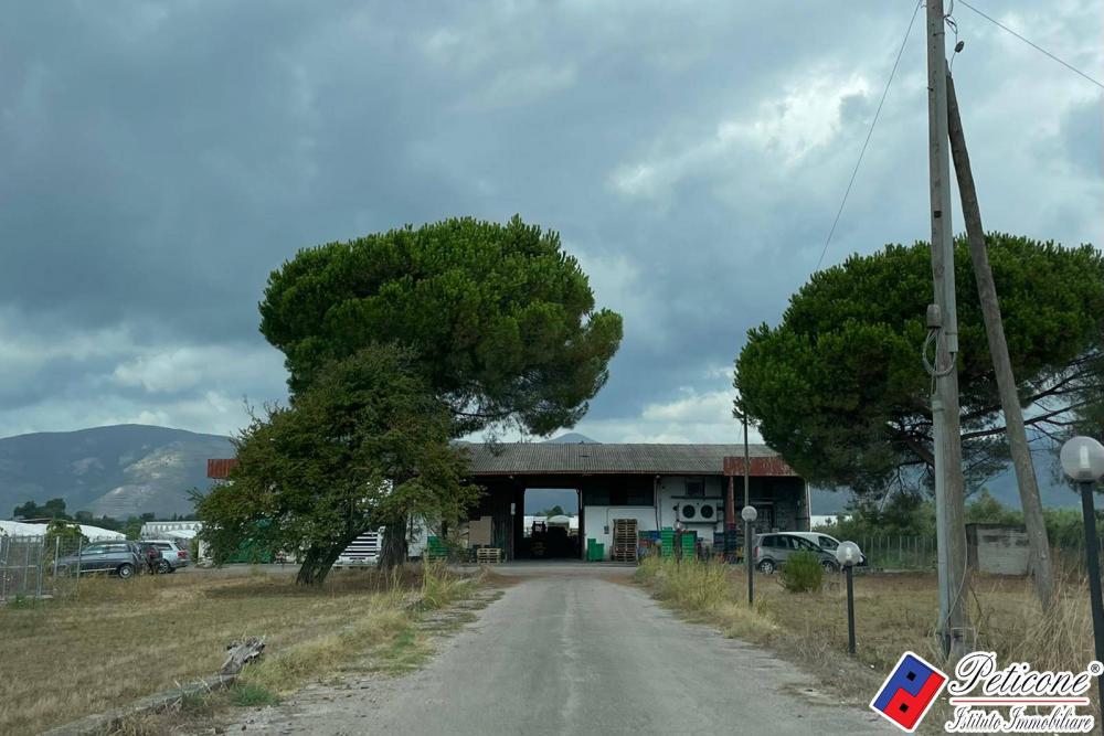 capannone in vendita a Fondi