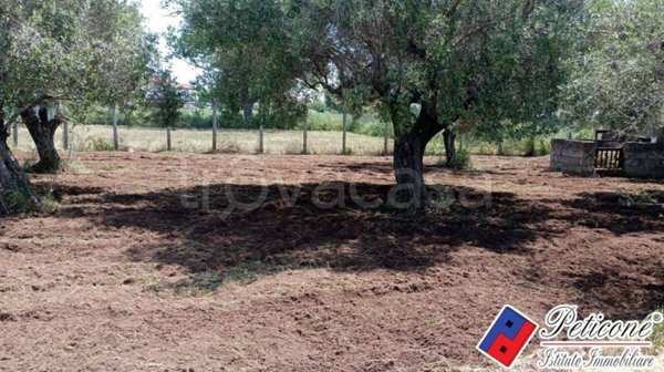 terreno agricolo in vendita a Fondi