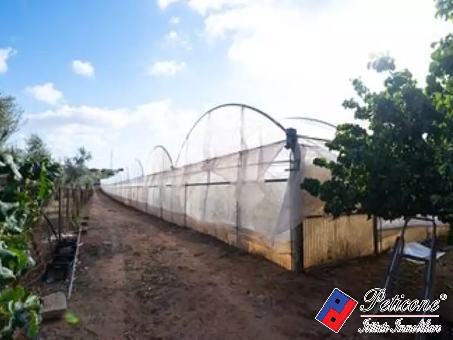 terreno agricolo in vendita a Fondi