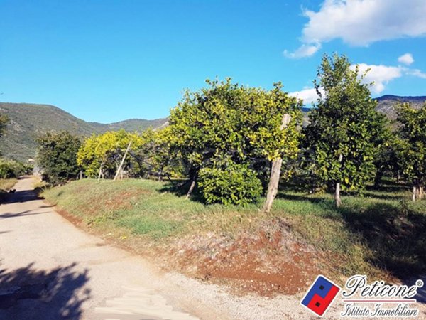 terreno agricolo in vendita a Fondi