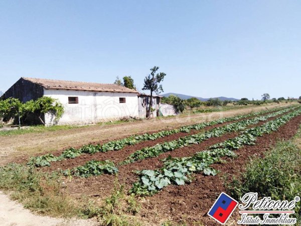 terreno agricolo in vendita a Fondi