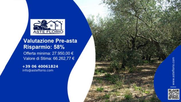 terreno agricolo in vendita a Fondi