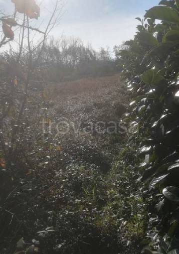 terreno agricolo in vendita a Fondi