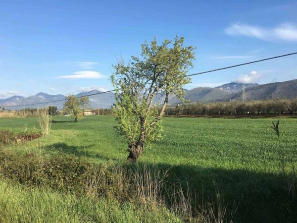 terreno agricolo in vendita a Fondi